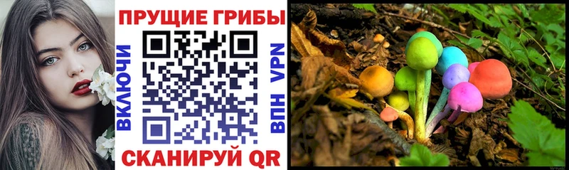 Псилоцибиновые грибы MAGIC MUSHROOMS  где продают наркотики  Анадырь 